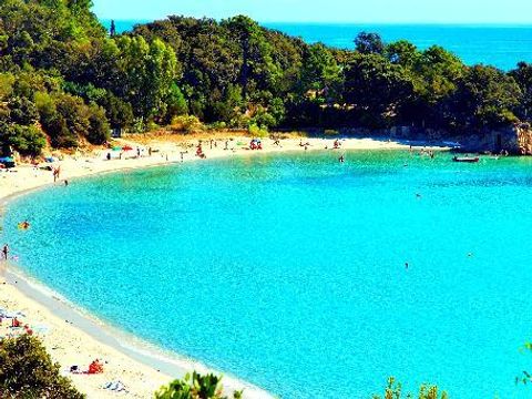 Camping Residence Mare e Monte - Camping Corse du Sud - Image N°12