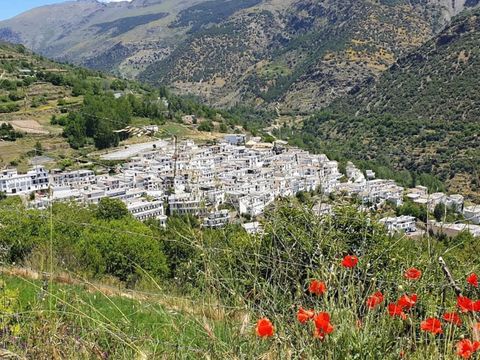 CARAVANE 4 personnes - Camping car intégral Dethleffs