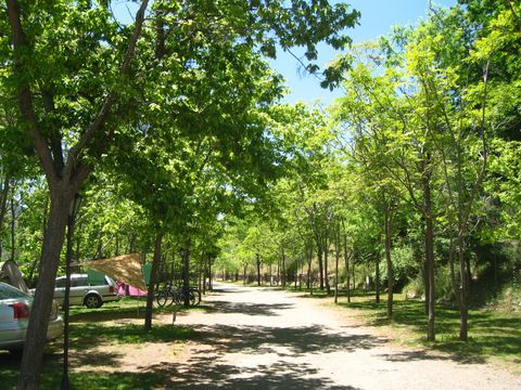 CARAVANE 4 personnes - Camping car intégral Dethleffs