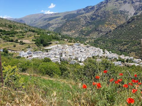 HÉBERGEMENT INSOLITE 3 personnes - VACARES glamping tente de luxe