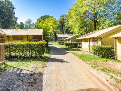 TENTE TOILE ET BOIS 5 personnes - Aminess Maravea - Safari tent Lodge (5P)