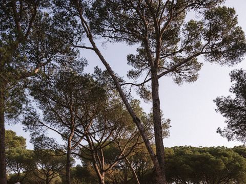 TENTE TOILE ET BOIS 2 personnes - Bell Tent Plus