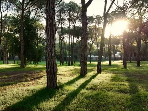 WeCamp Cala Montgo - Camping Gérone - Image N°29