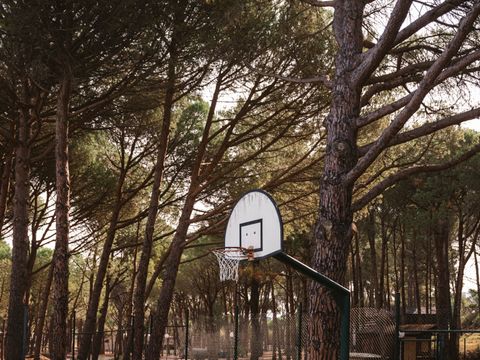 WeCamp Cala Montgo - Camping Gérone - Image N°37