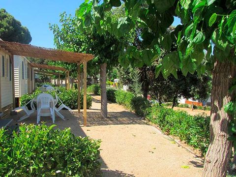 Camping El Carlitos - Camping Barcelone - Image N°39