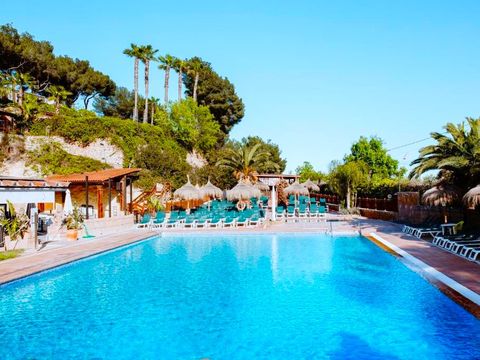 Camping Caledonia - Camping Tarragone - Image N°4