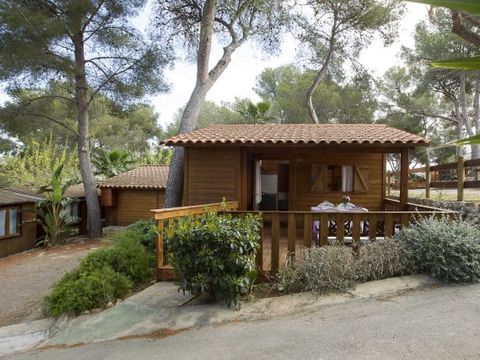 CHALET 6 personnes - Lanai