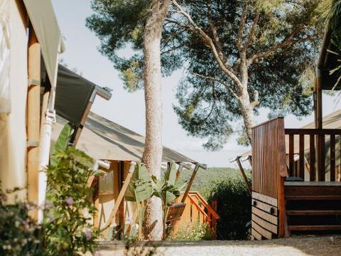 Camping Caledonia - Camping Tarragone - Image N°26