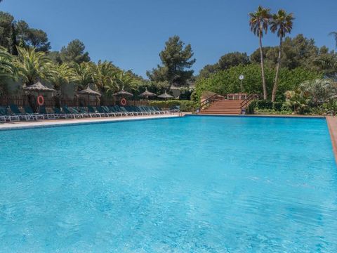 Camping Caledonia - Camping Tarragone - Image N°4