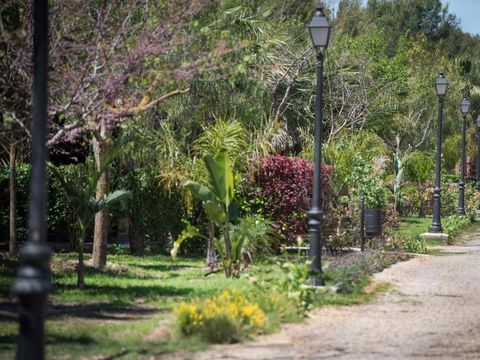 Camping Caledonia - Camping Tarragone - Image N°19