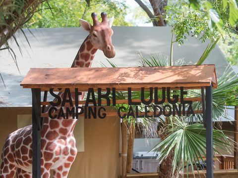 Camping Caledonia - Camping Tarragone - Image N°8
