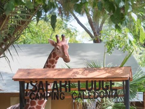 Camping Caledonia - Camping Tarragone - Image N°20