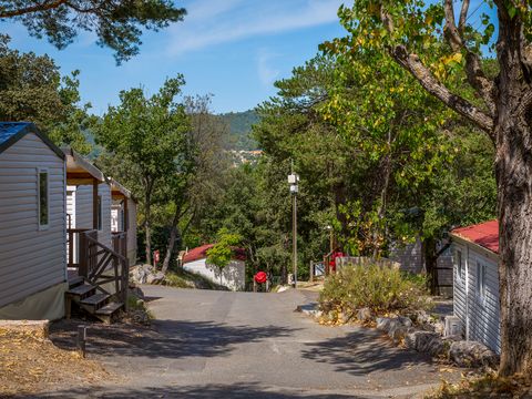 Camping La Pinède - Camping Alpes-de-Haute-Provence - Image N°11