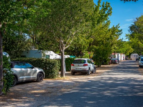 Camping La Pinède - Camping Alpes-de-Haute-Provence - Image N°3
