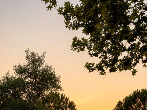 Camping La Pinède - Camping Alpes-de-Haute-Provence - Image N°13