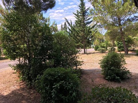 Camping Sites et Paysages - La Pinède - Camping Aude - Image N°29