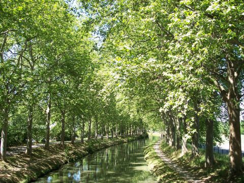 Camping Sites et Paysages - La Pinède - Camping Aude - Image N°25