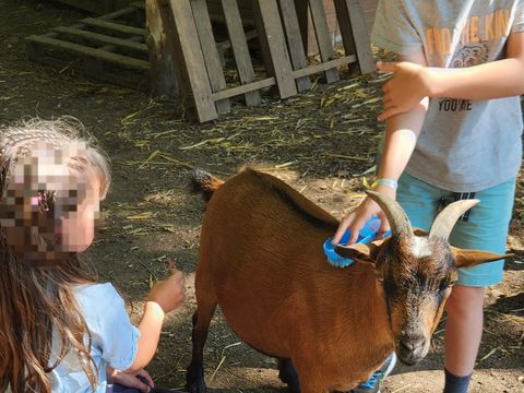 Camping le Domaine Du Bois Coquet - Camping Dordogne - Image N°58