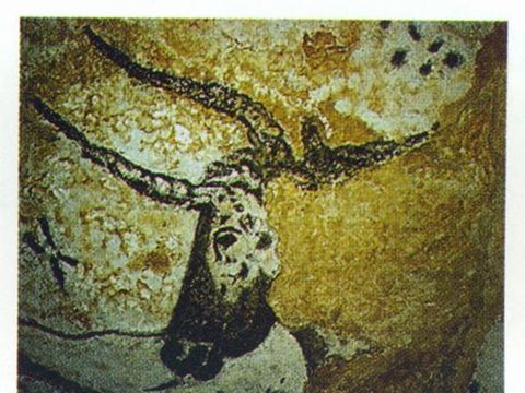 Camping le Domaine Du Bois Coquet - Camping Dordogne - Image N°40