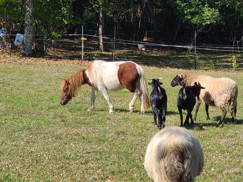 Camping le Domaine Du Bois Coquet - Camping Dordogne - Image N°49