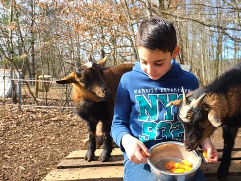 Camping Ushuaïa Villages Le Domaine Du Bois Coquet - Camping Dordogne - Image N°32