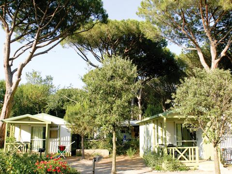 CHALET 5 personnes - Cottage Club 5