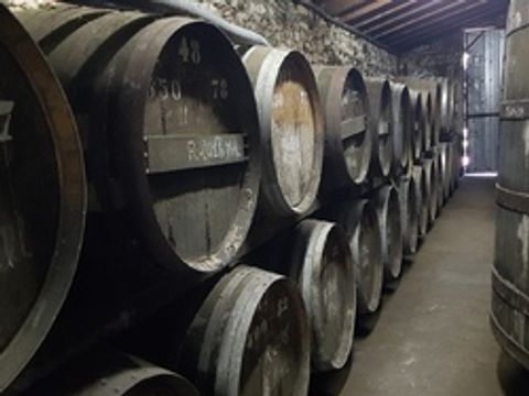 Camping Chez Gendron - Camping Gironde - Image N°14