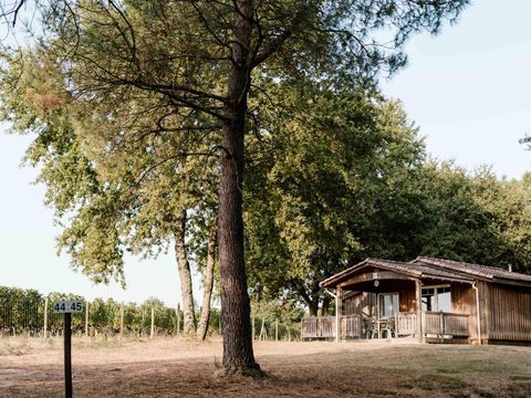 CHALET 5 personnes - Chalet 2 - 40m² - 2 chambres