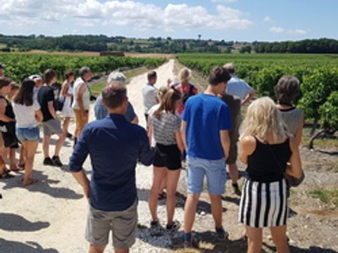 Camping Chez Gendron - Camping Gironde - Image N°13