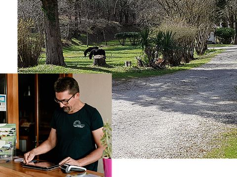 Camping Chez Gendron - Camping Gironde - Image N°19