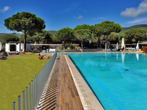 Camping Lacona Pineta - Camping Livourne - Image N°6