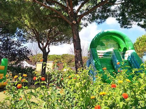 Camping Lacona Pineta - Camping Livourne - Image N°9