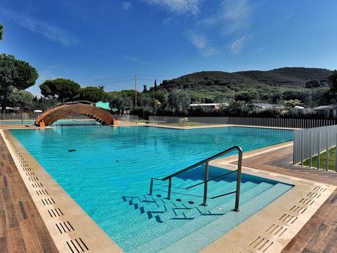 Camping Lacona Pineta - Camping Livourne - Image N°3