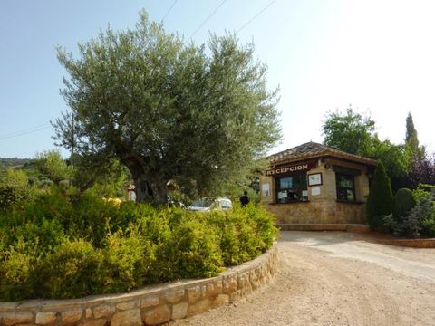 CAMPING ALQUEZAR - Camping Huesca - Image N°9