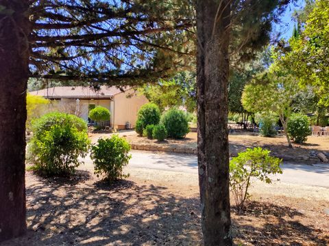 VVF Villages - Les Cigales du Gard - Méjannes le Clap - Camping Gard - Image N°3