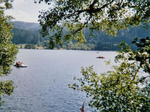 Village Vacance Les Myrtilles - Camping Vosges - Image N°10