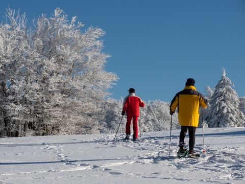 Village Vacance Les Myrtilles - Camping Vosges - Image N°5