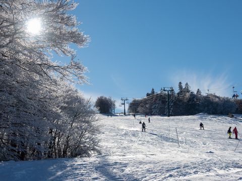 Village Vacance Les Myrtilles - Camping Vosges - Image N°6