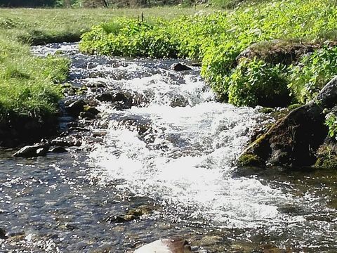 Résidence Plein Sud - Camping Alpes-de-Haute-Provence - Image N°12