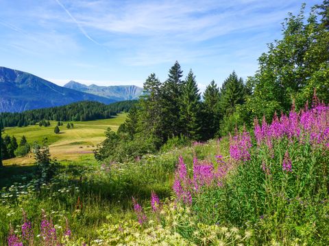 Résidence Les Villages du Bachat - Camping Isère - Image N°3