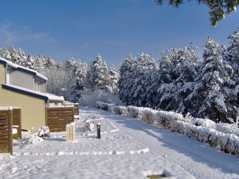 VVF Villages - Le Fjord Jurassien - Maisod - Camping Jura - Image N°2