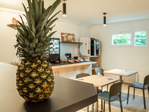 Appart'Hôtel Brest - Camping Finistère - Image N°6