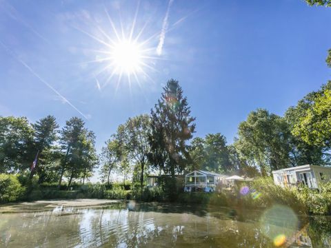 Familiecamping Klein Canada - Camping Bergen - Image N°41