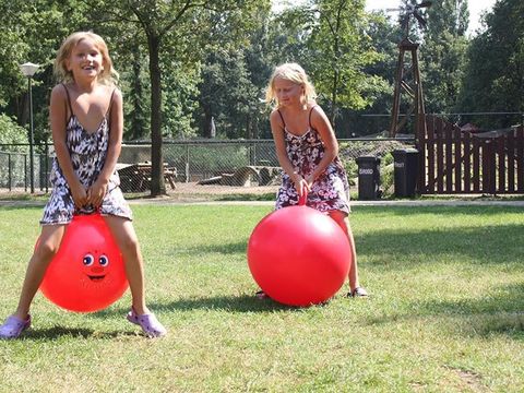 Familiecamping Klein Canada - Camping Bergen - Image N°19