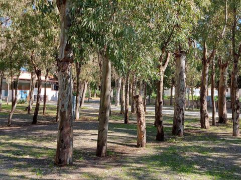 Emplacement - tente ou camping car ou caravane