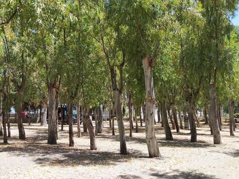 Camping Villaggio Marinello - Camping Messine - Image N°47