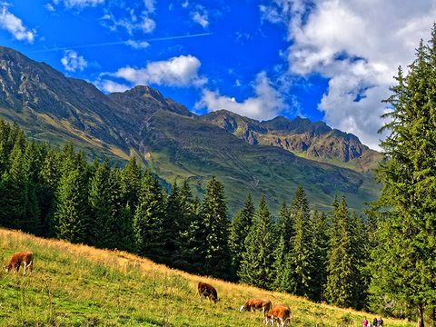 Residence La Clusaz Les Aravis - Camping Haute-Savoie - Image N°12