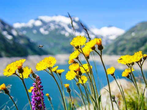 Résidence Les Menuires - Camping Savoie - Image N°27