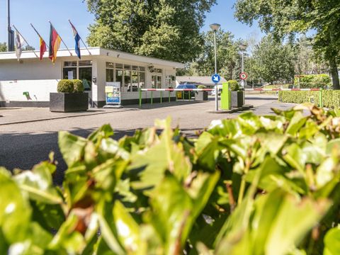 Vakantiepark de Bergen - Camping Sint Anthonis - Image N°56