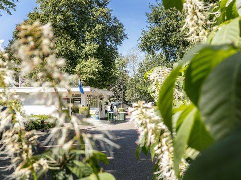 Vakantiepark de Bergen - Camping Sint Anthonis - Image N°51